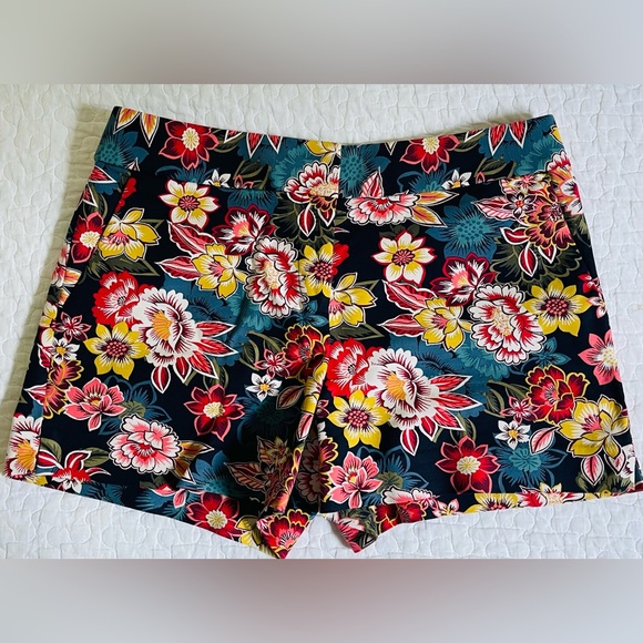 LOFT Shorts - Picture 1 of 3